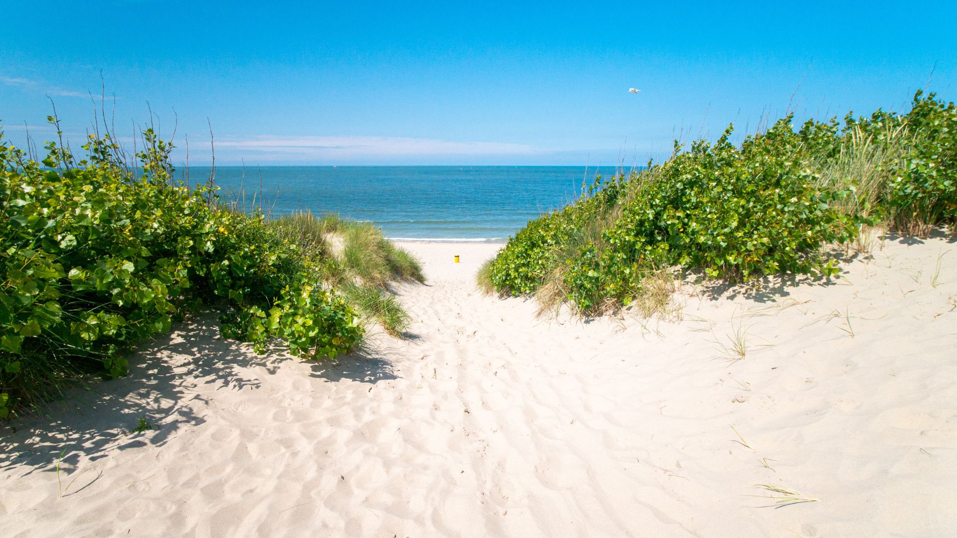 Hotels op Zeeuws-Vlaanderen - Een van de stranden van Zeeuws-Vlaanderen